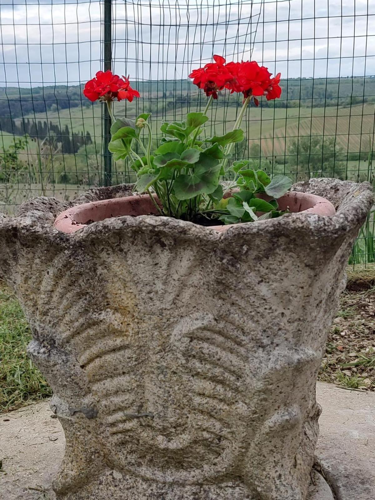 Il Giardino Del Chianti Apartamento Siena Exterior foto