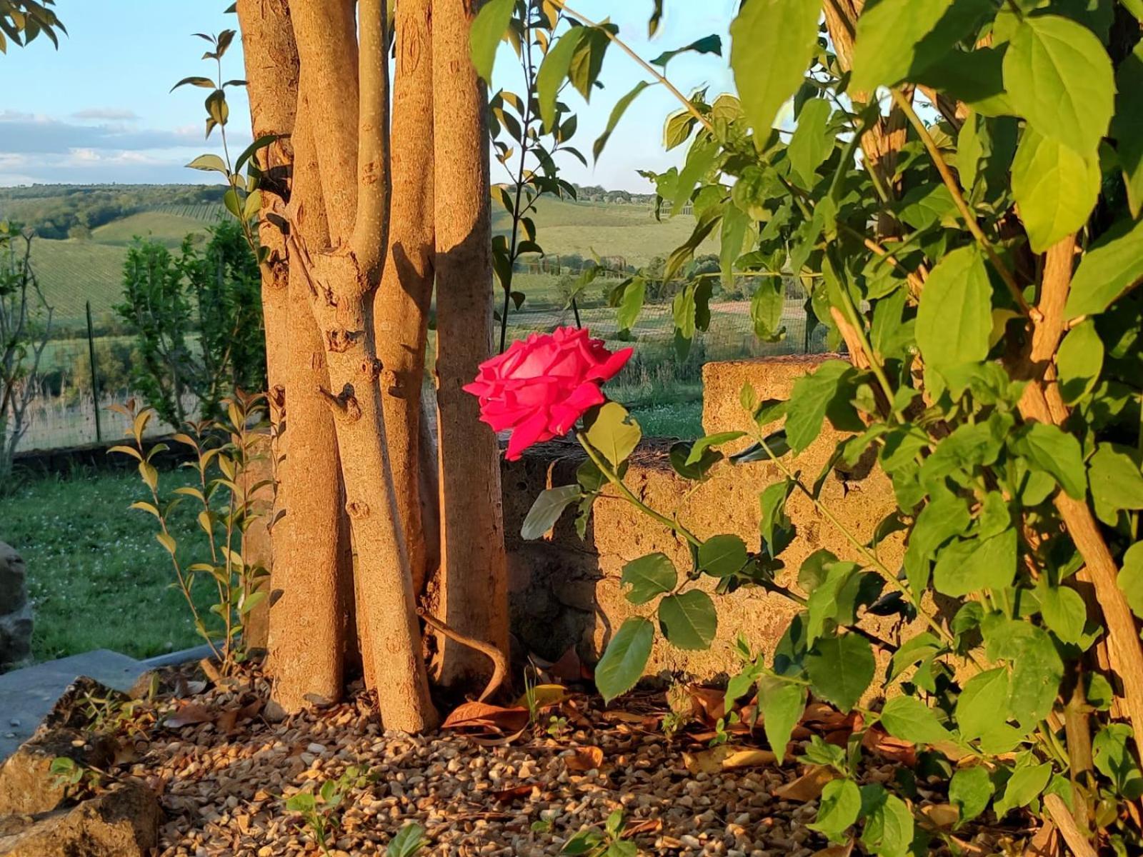 Il Giardino Del Chianti Apartamento Siena Exterior foto
