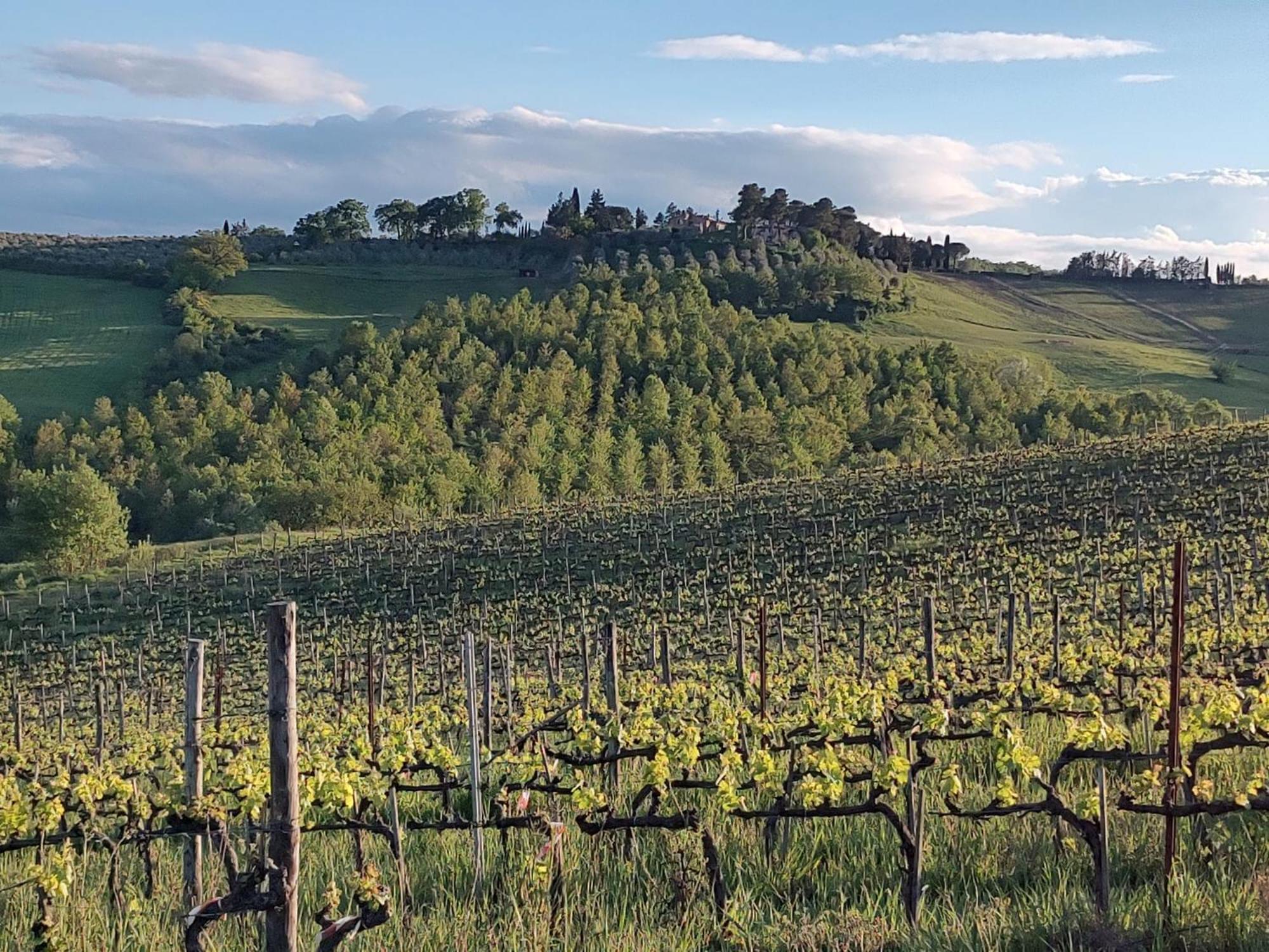 Il Giardino Del Chianti Apartamento Siena Exterior foto